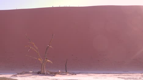 Amazing-dead-trees-silhouetted-at-dawn-at-Deadvlei-and-Sossusvlei-in-Namib-Naukluft-National-Park-Namib-desert-Namibia-Hikers-distant-1