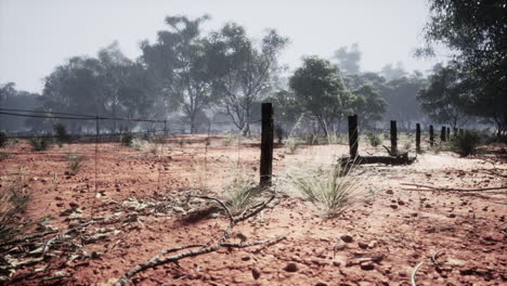 Detail-of-old-rural-fencing-with-shallow-focus