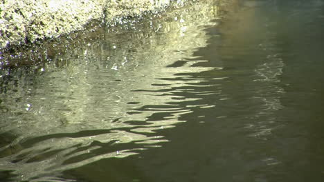 Reflection-of-a-stone-animated-by-swiftly-flowing-water