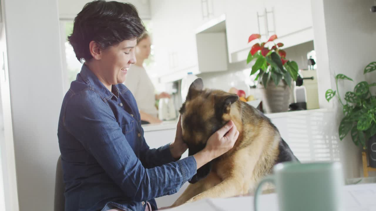 백인 여성 이 집 의 거실 에서 개 와 놀고 있다
