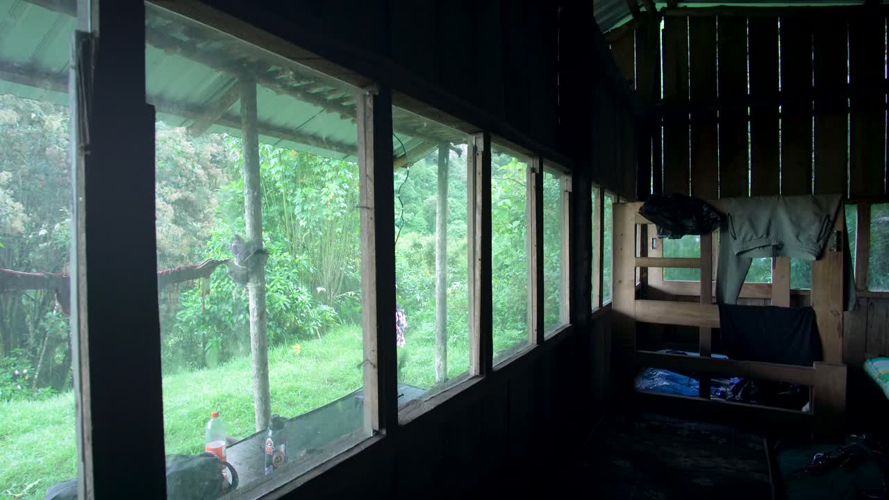 Static shot inside a rustic wooden cabin with large windows revealing a lush green natural landscape