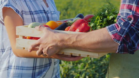 a woman takes a box of vegetables from the farmer's hands fresh vegetables directly from the field