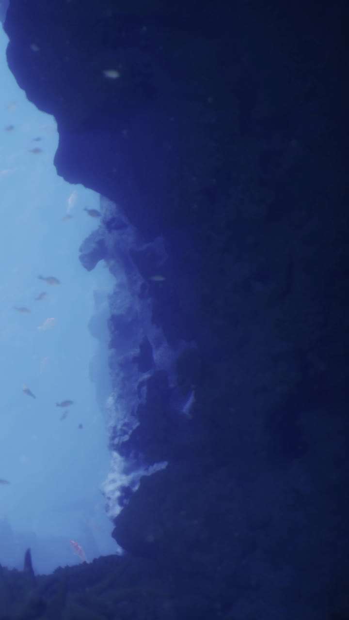 Esplorando una misteriosa grotta sottomarina con incantevoli sfumature di blu.