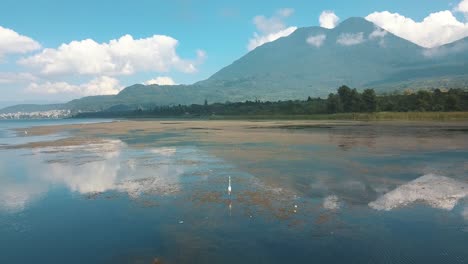 drone aerial rotating around bird standing in the lake, atitlan, guatemala