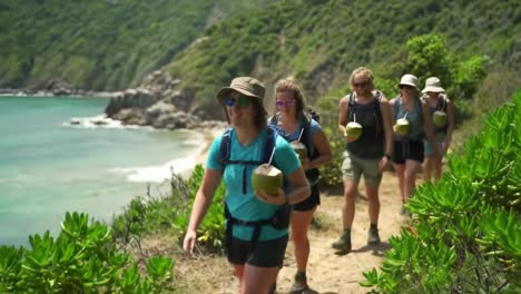 adventurous tropical hike along the coastline: a group of friends enjoying nature and fresh coconuts while exploring scenic trails in a lush landscape
