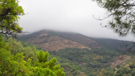 Niebla-Densa-Que-Fluye-Desde-La-Cima-De-La-Montaña,-Vista-De-Lapso-De-Tiempo-Con-árbol-En-Primer-Plano