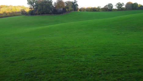 beautiful english green field with trees - aerial drone dolly shot 4k