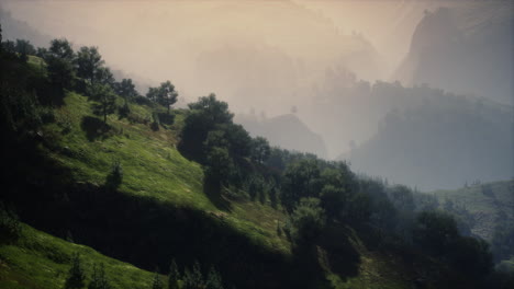 árboles-Verdes-En-El-Cañón-Al-Atardecer-Con-Niebla