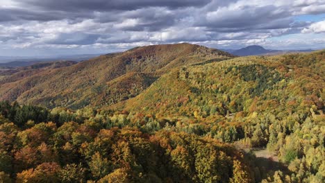 Wunderschöne-Farben-Des-Waldes-Während-Der-Herbstsaison