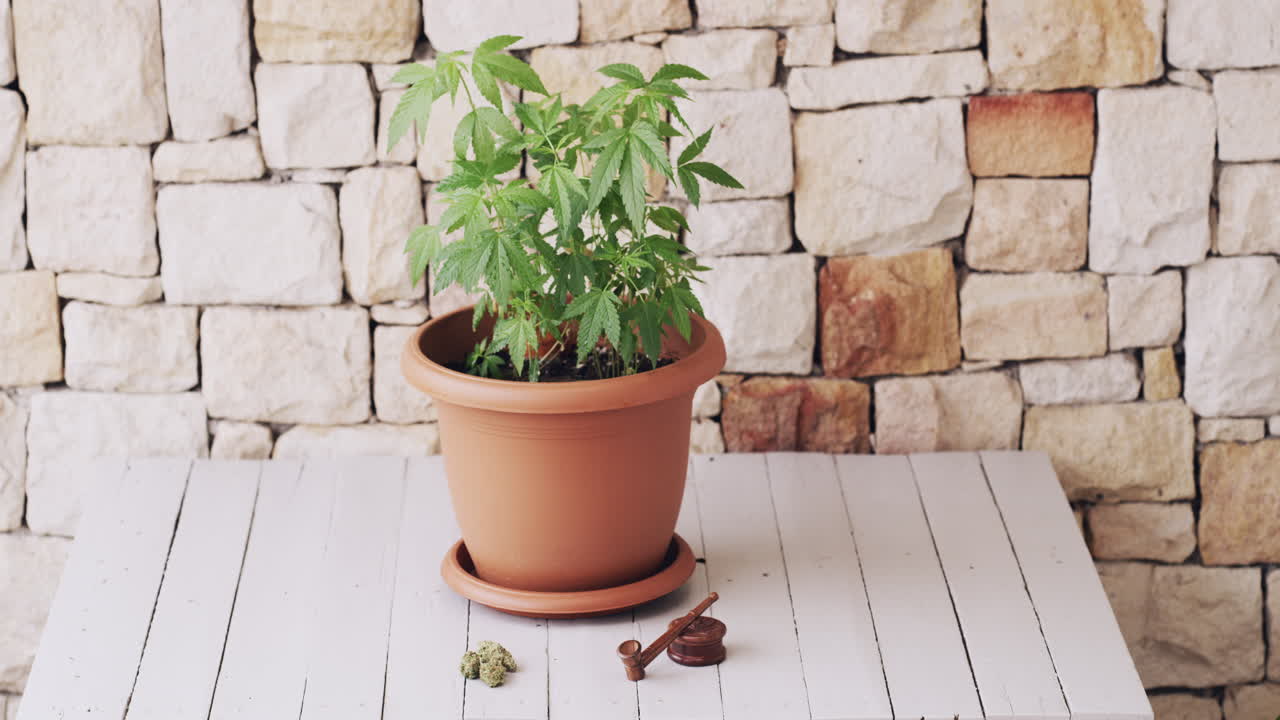 producción de marihuana para uso personal