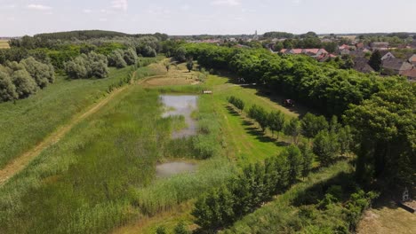 Small-overgrown-pond-on-edge-of-cemetary-in-Batya,-Hungary,-aerial-view