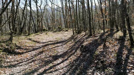 Caminando-Por-El-Sendero-Con-Rayos-De-Sol-Entre-Robles-Y-Castaños-Sin-Hojas-En-Las-Montañas-Rurales-De-Ourense,-España