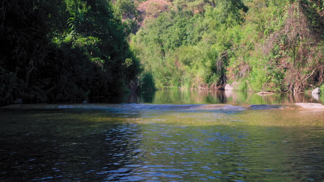 Forest creek near Marbella, Spain