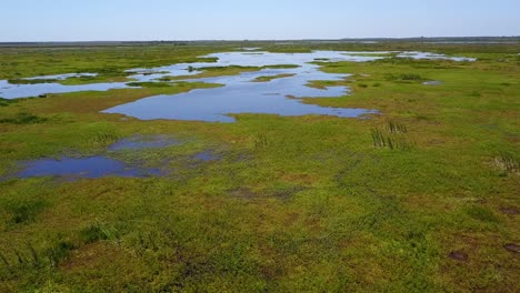 wetlands of northeast argentina shooted with drone