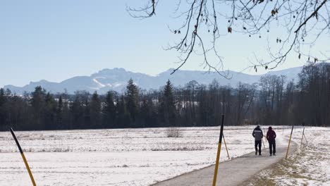Pareja-Tomando-Un-Paseo-En-Invierno---Alpes-Cubiertos-De-Nieve-En-El-Fondo