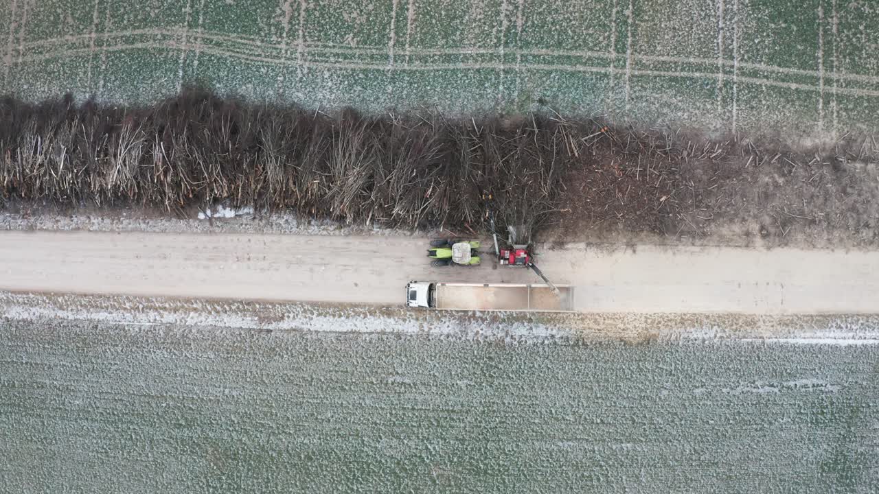 무거운 기계 위로 올라가서 나무 가지를 개서 어 버립니다.