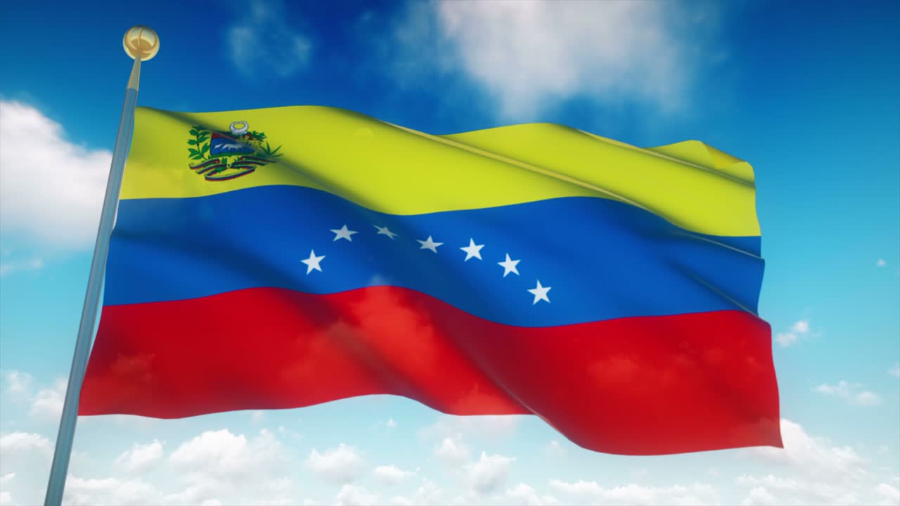 베네수엘라의 발 4k 매우 상세한 루프