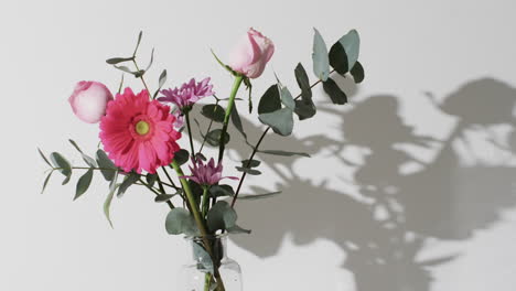 video de flores rosadas en un jarrón de vidrio con espacio de copia sobre un fondo blanco