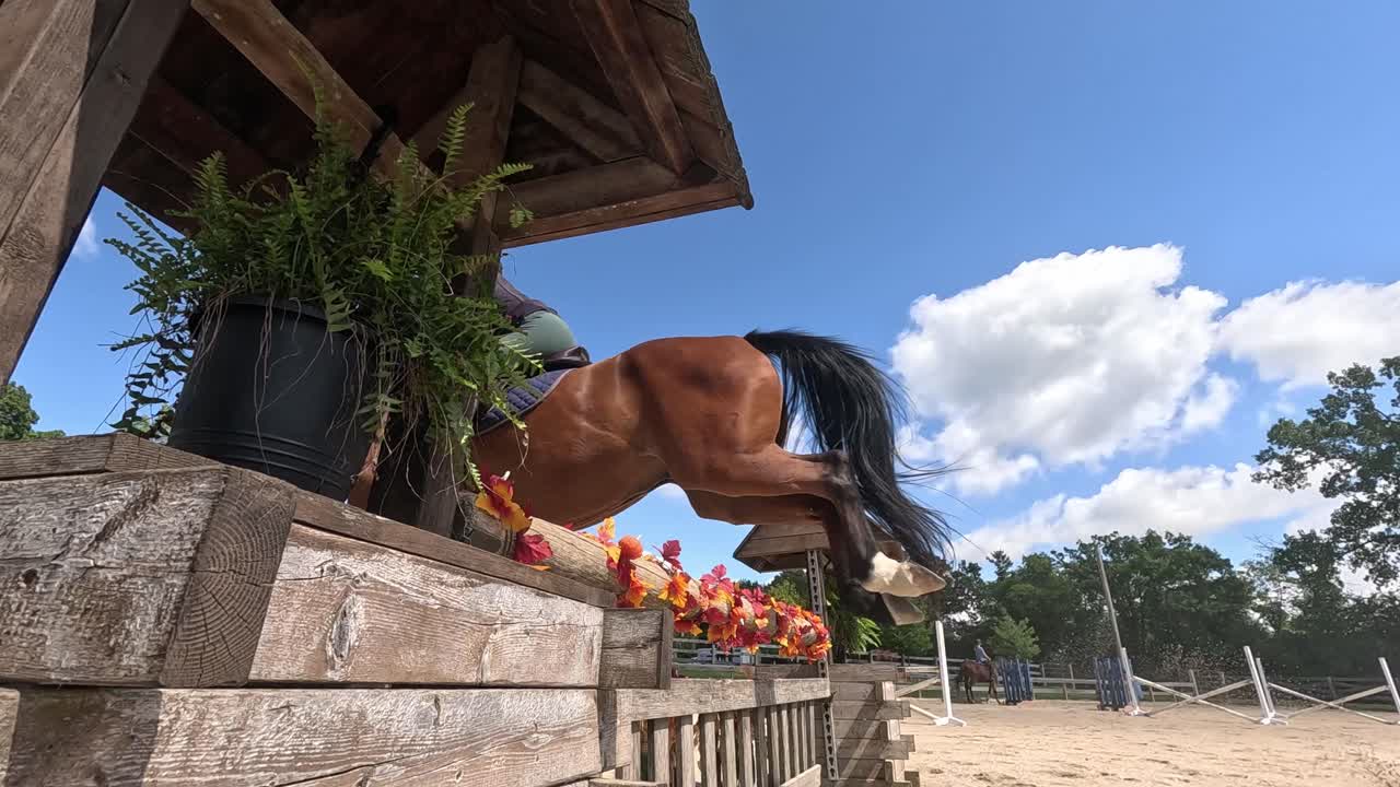 Un caballo saltando un obstáculo decorativo en una pista de equitación al aire libre en un día de verano. Filmado en cámara lenta.