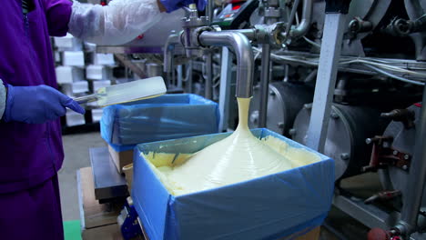making butter on a dairy factory. industrial equipment at milk factory. worker on a dairy production plant. fresh smooth butter pouring from pipe into a box.