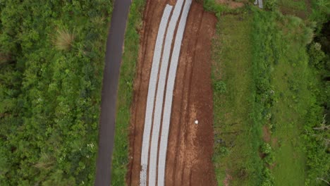 Arriba-Hacia-Abajo-De-Las-Líneas-De-Cultivo-De-Hortalizas-En-Tierras-Tropicales-Fértiles-En-Las-Montañas,-Antena