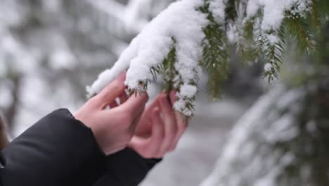 girl in a white hat in the middle of the forest looks at a green christmas tree girl in a white hat in the middle of the forest looks at a green christmas tree preholiday mood tree in fluffy white snow