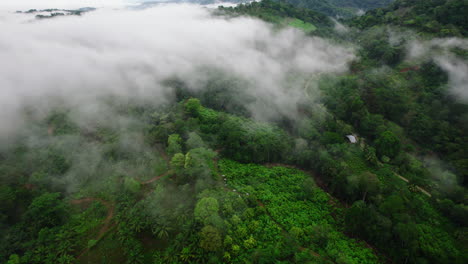 Fly-above-tropical-landscape