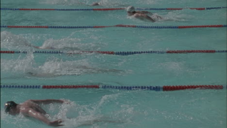 swimmers race across a pool 2