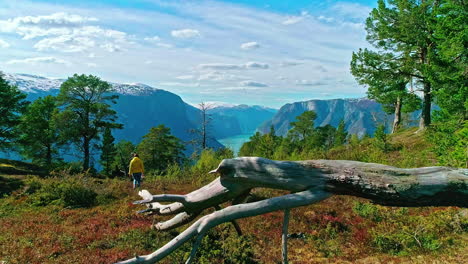 Mujer-Aventurera-Caminando-Hacia-El-Mágico-Mirador-Del-Lago-De-Montaña,-Vista-Posterior