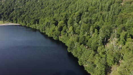 Hermoso-Paisaje-Sereno-Del-Lago-Lough-Tay,-Lago-Guinness-En-Las-Montañas-Wicklow,-Con-El-Bosque-Verde-En-Un-Día-Soleado-6