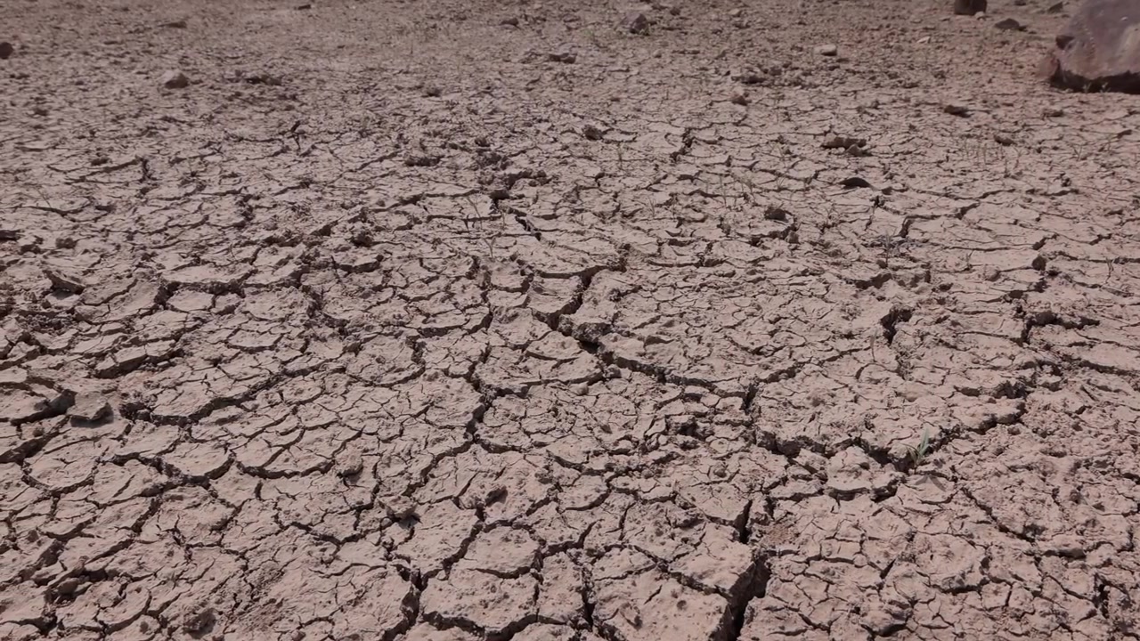 Ampia inquadratura di terra di zone umide arida e screpolata sotto un'intensa luce diurna, che mostra drammatici schemi di siccità e fango secco. Cambiamento climatico e crisi ambientale