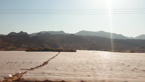 Passing-view-of-rural-Jordanian-agricultural-countryside-with-fruit-and-vegetable-farms,-poly-tunnels-growing-crops,-and-desert-landscape-in-Jordan,-Middle-East