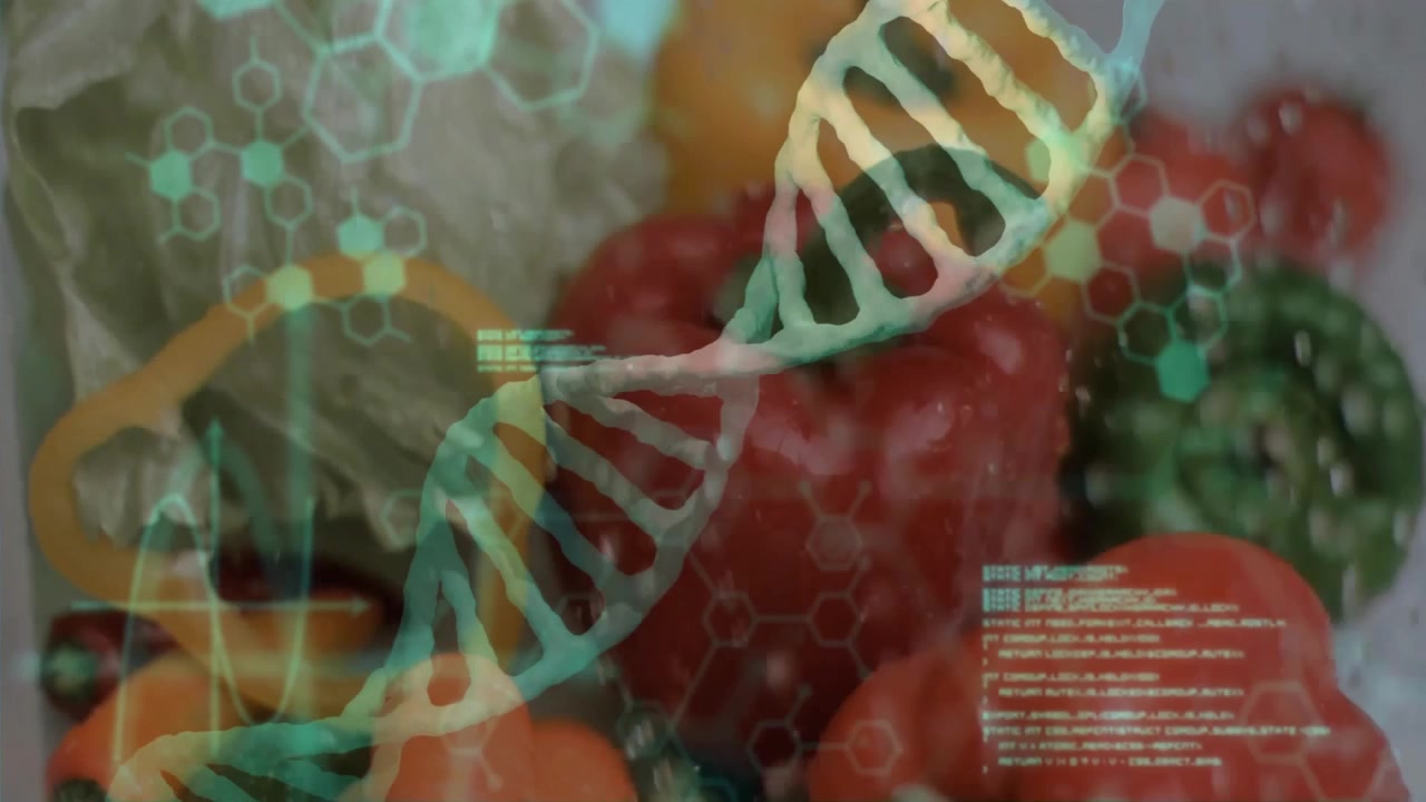 Digital DNA Strand Overlaying Fresh Vegetables
