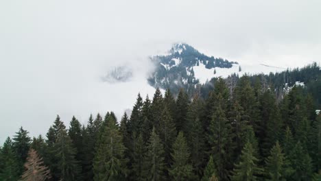 Luftlandschaft-Von-Sattelegg,-Schweiz,-Europa