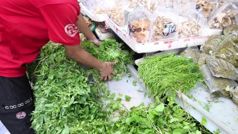 workers sorting and organizing fresh vegetables quickly