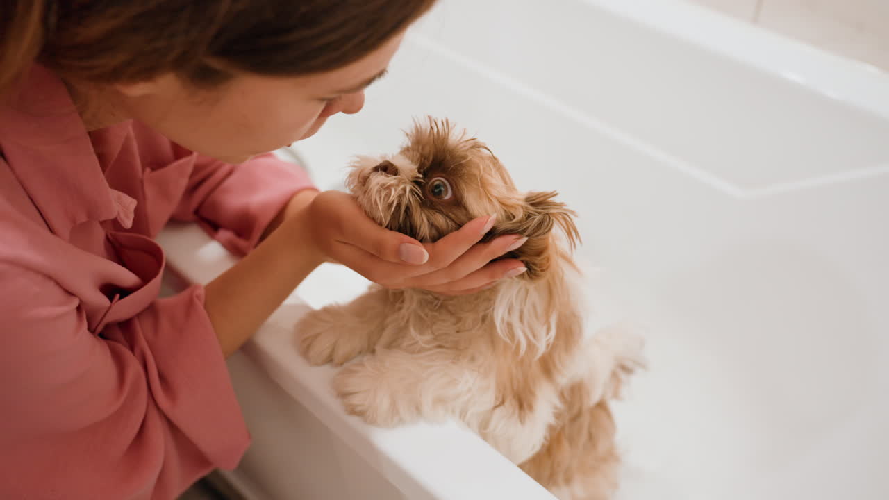 Calm Woman Gently Showers Her Small Dog, Tender Woman Carefully Rinses And Kisses Puppy During Bath, Soft Lady Lovingly Bathes And Tenderly Kisses Her Young Puppy During Relaxing Grooming Time