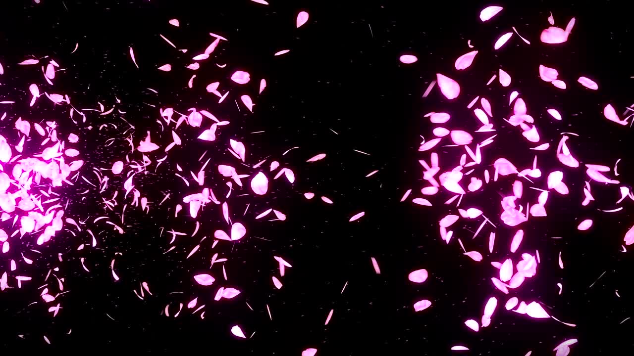 검은 바탕에 떨어지는 체리 꽃 잎, 루프 글리터 애니메이션