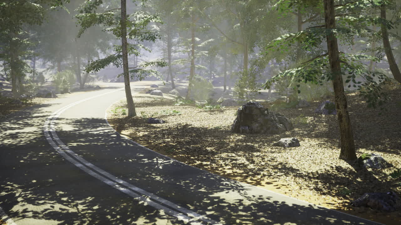 Scenic winding road through a tranquil forest setting during daylight hours