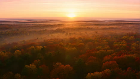 misty autumn forest at sunrise