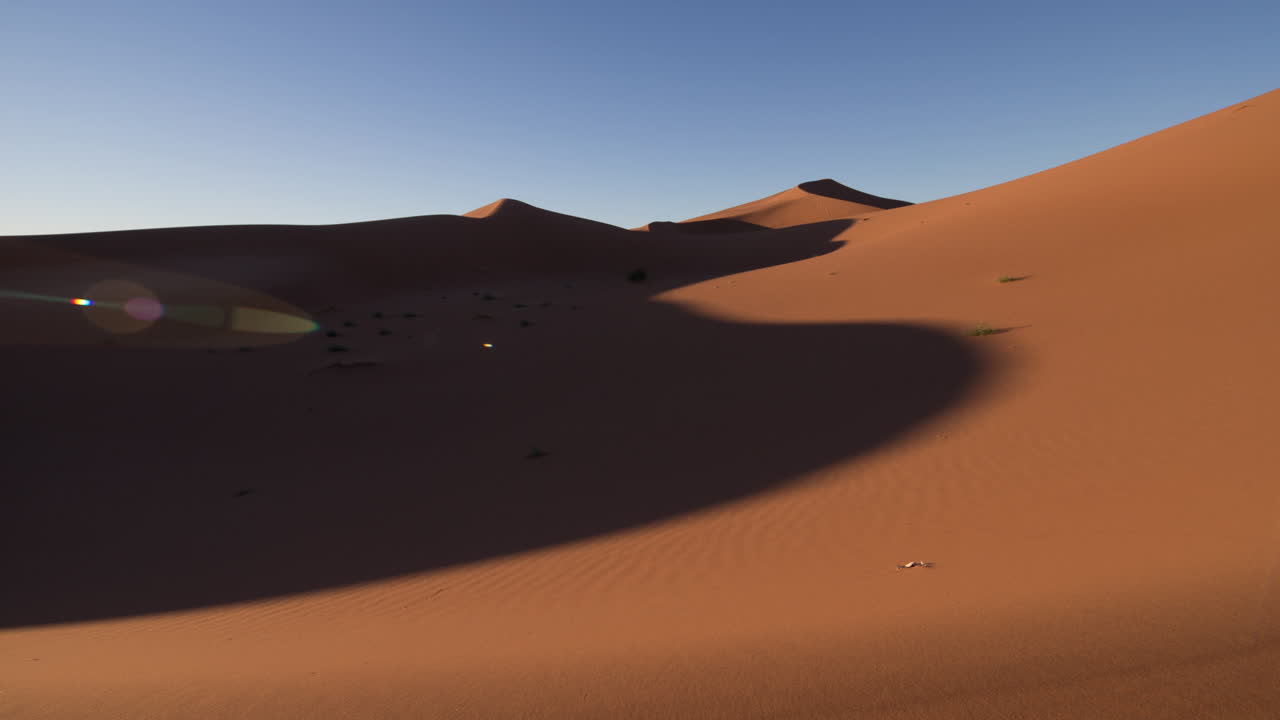 에르그 치가가 11