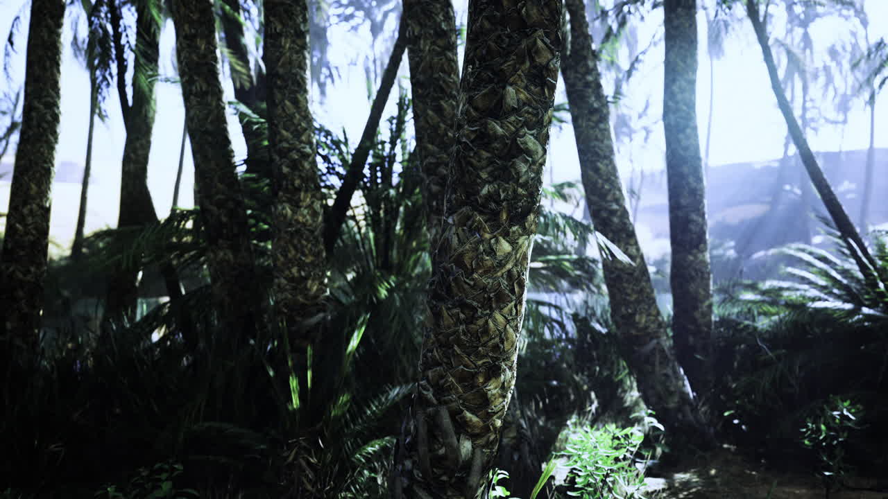 Lush tropical landscape with palm trees and vibrant undergrowth in sunlight