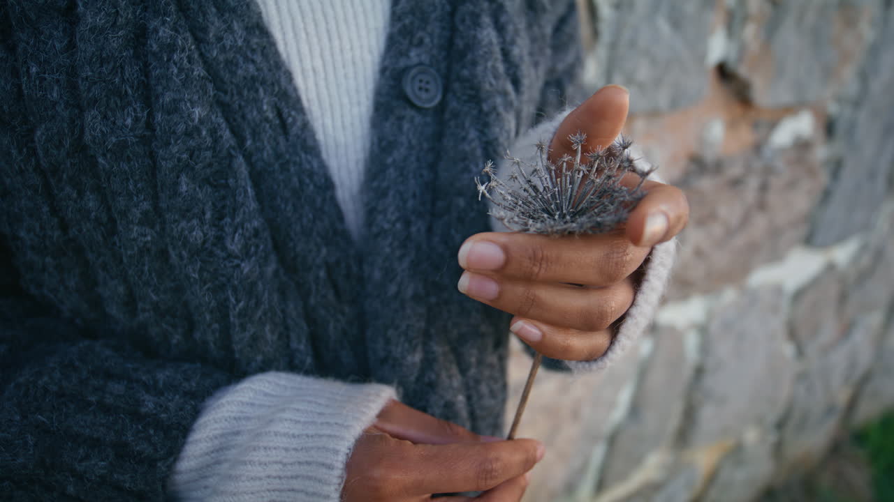 Autumn woman holding flower rocky wall background closeup. Lady enjoying nature