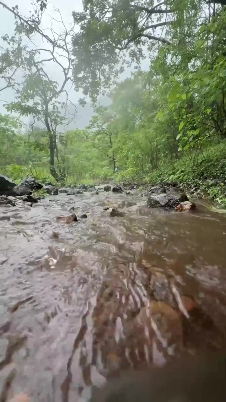 Primo piano di un ruscello d'acqua cristallina che scorre attraverso la lussureggiante catena montuosa Sahyadri nel Maharashtra, India
