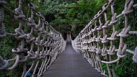 sky walk in the jungle at chiang mai, thailand