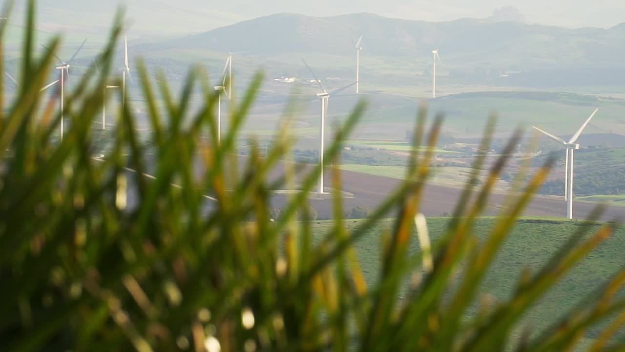 녹색 잎, 메디나, 스페인을 통해 넓은 들판에 걸쳐 많은 수의 흰색 풍차