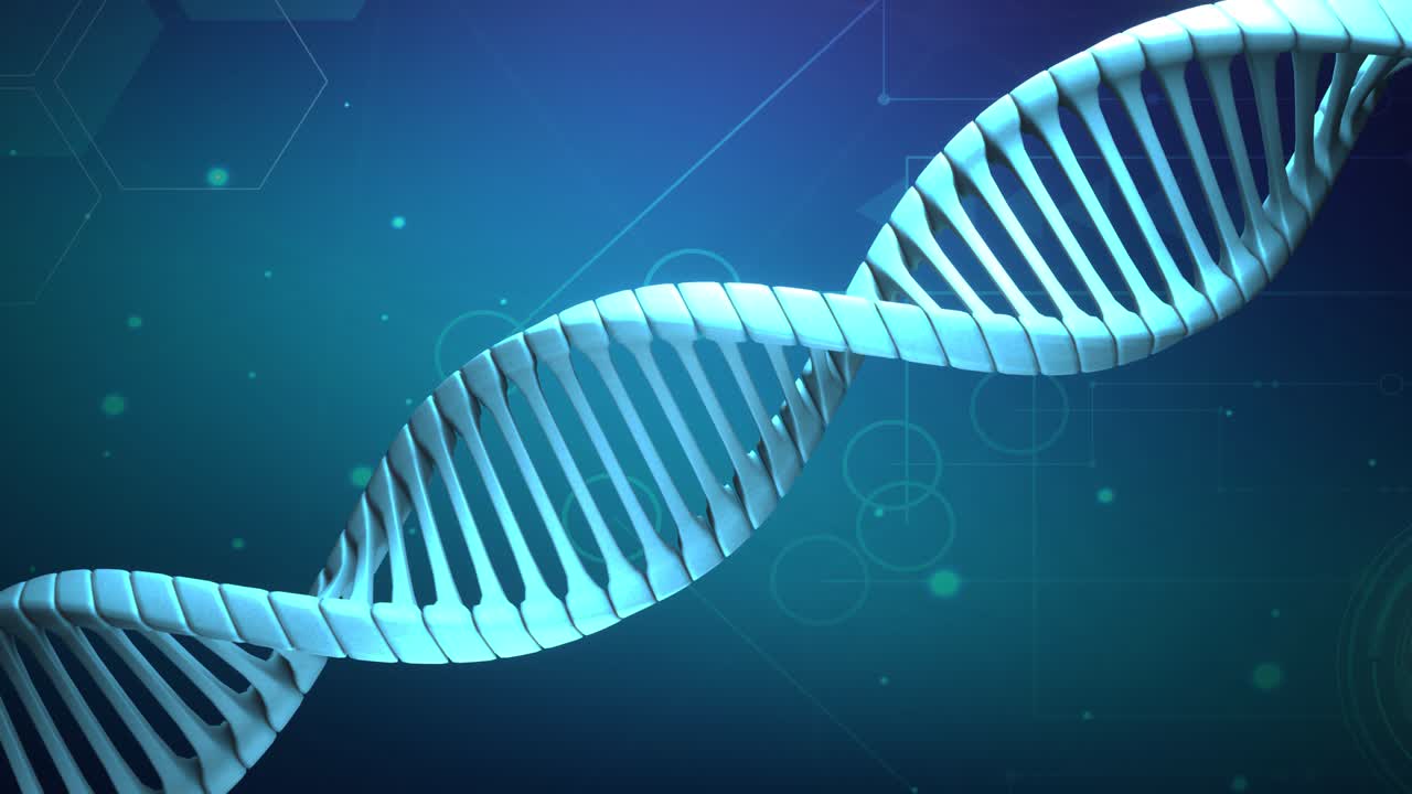 modelo abstract dna 3d rendering animación en fondo azul oscuro. dna rotativo brillante azul doble hélice. conceptos de ciencia y medicina. fondo de bucle sin costuras. diseño de información genética.