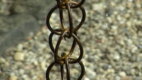 rainwater drips down a japanese rain chain, or kusari-doi