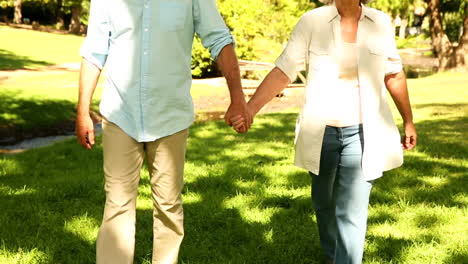 retired couple walking in the park