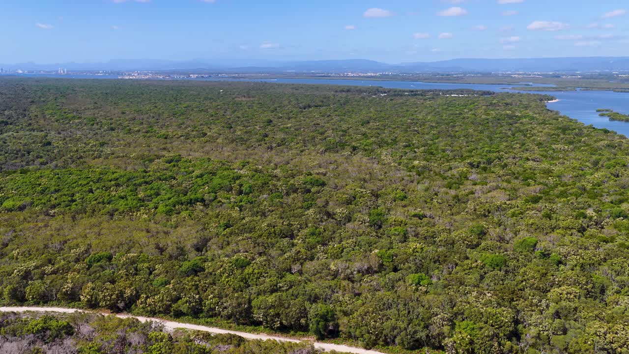 Immagine aerea da drone ad angolazione elevata che cattura una lussureggiante foresta verde e corsi d'acqua distanti sotto un cielo azzurro limpido