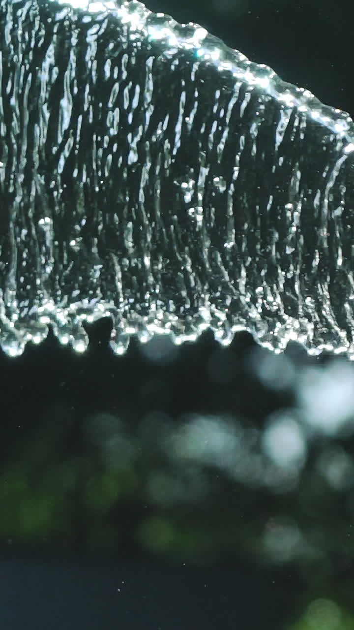 Stream of water spraying from garden hose, close up. Watering the green grass. Slow Motion. Vertical video